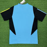 2024 ARS Blue Fans Training Jersey