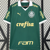 2024/25 Palmeiras 1:1 Quality Home Fans Jersey (All Sponsor 全广告)