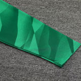 2023/24 BA Green Goalkeeper Long Sleeve Jersey (A Set, Pants Have Number) 裤有号码