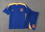 2024/25 NL Blue Training Jersey(A Set)