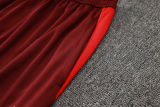 2024/25 Internacional Red Training Tracksuit 七分裤