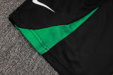 2025 Nigeria Training Jersey(A Set)
