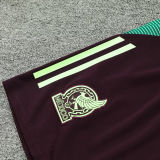 2025 Mexico Light Green Vest Training Jersey(A Set)