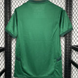 2024/25 Lens Away Green Fans Soccer Jersey