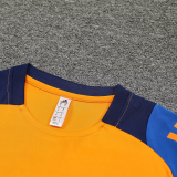 2025 AD~ Orange Vest Training Jersey(A Set)