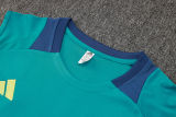 2025 AA Green Vest Training Jersey(A Set)