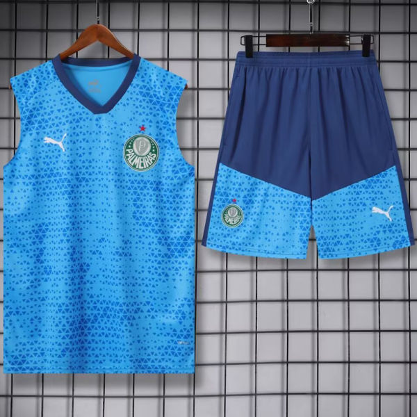 2024/25 Palmeiras Blue Vest Training Jersey(A Set)