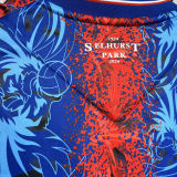 2024/25 Crystal Palace Home Fans Soccer Jersey