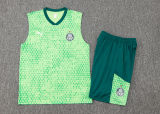 2024/25 Palmeiras Green Vest Training Jersey(A Set)