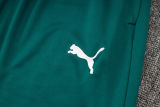 2025 Palmeiras Green Sweater Tracksuit