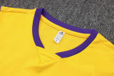2024/25 RM Yellow Vest Training Jersey(A Set)
