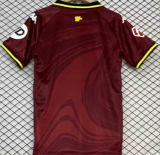 2024/25 Real Valladolid Third Fans Soccer Jersey