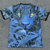 2025 Brazil Special Edition Fans Jersey