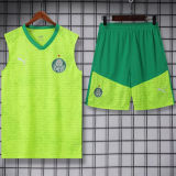 2024/25 Palmeiras Yellow Vest Training Jersey(A Set)