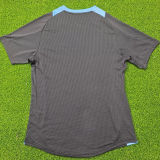 2024/25 Argentina Player Version Soccer Jersey