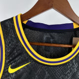 2025 Lakers JAMES JR. #9 Black NBA Jerseys 热压