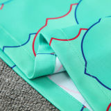 2024/25 BA Light Green Vest Training Jersey(A Set)