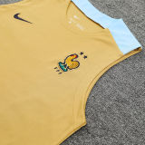 2024/25 France Khaki Vest Training Jersey(A Set)