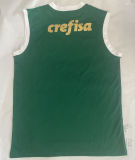 2024/25 Palmeiras Home Green Vest Jersey