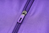 2024/25 Germany Purple Jacket Tracksuit