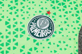 2024/25 Palmeiras Green Vest Training Jersey(A Set)