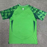 2024/25 Saudi Arabia Home Green Fans Soccer Jersey