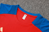 2024/25 Spain Red Vest Training Jersey(A Set)