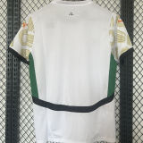 2024/25 Ivory Coast Away White Fans Soccer Jersey