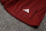 2024/25 Internacional Red Vest Training Jersey(A Set)