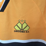 2024/25 Criciuma Home Yellow White Fans Jersey 克里丘马