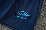 2024/25 Grêmio Blue Vest Training Jersey(A Set)