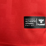 2024/25 Denmark Home Red Fans Soccer Jersey