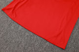 2024/25 Spain Red Vest Training Jersey(A Set)