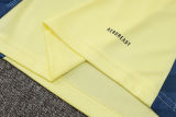 2025 AA Yellow Vest Training Jersey(A Set)