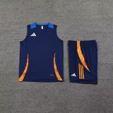 2025 AD~ Sapphire Blue Vest Training Jersey(A Set)
