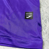 2024/25 RSC Anderlecht Home Fans Soccer Jersey 安德莱赫特