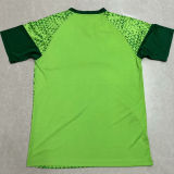 2024/25 Palmeiras Green Training Jersey