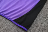 2024/25 Germany Purple Jacket Tracksuit