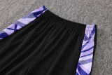 2024/25 Germany Purple Sweater Tracksuit