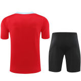 2025 BA Red Training Jersey(A Set)
