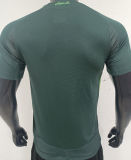 2025 Algeria Away Green Player Version Jersey