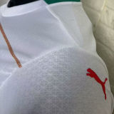 2024/25 Al Nassr Third White Player Version Soccer Jersey