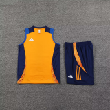 2025 AD~ Orange Vest Training Jersey(A Set)
