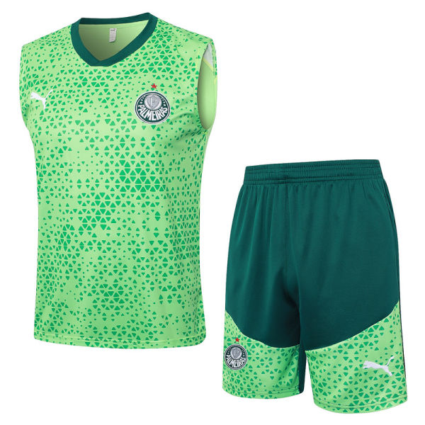 2024/25 Palmeiras Green Vest Training Jersey(A Set)