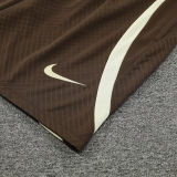 2024/25 Corinthians Brown Vest Training Jersey(A Set)