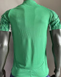 2024/25 Palmeiras Special Edition Green Player Version Jersey （AD~啊迪款）