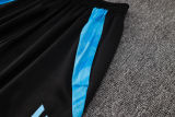 2024/25 Argentina Grey Vest Training Jersey(A Set)