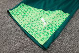 2024/25 Palmeiras Green Training Tracksuit