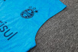 2024/25 Grêmio Blue Vest Training Jersey(A Set)