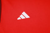 2024/25 Internacional Red Vest Training Jersey(A Set)